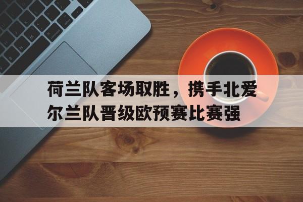 荷兰队客场取胜，携手北爱尔兰队晋级欧预赛比赛强-平博官网